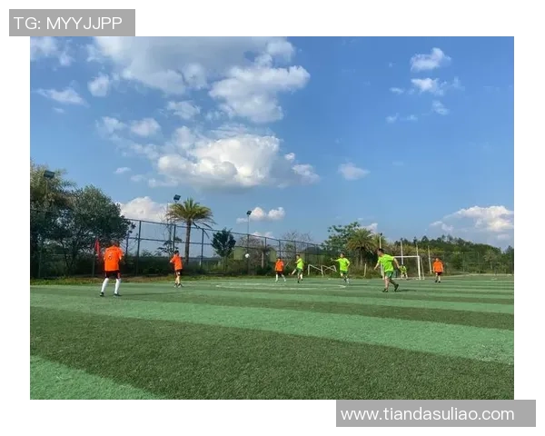 踢足球运动的魅力与技巧探索让我们一起感受绿茵场上的激情与团队精神